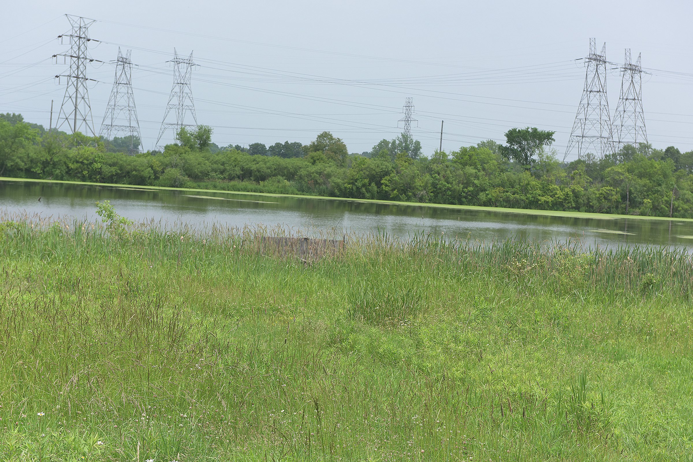 Lake County, Indiana farmland - LAND AUCTION - 147+/- ACRES OFFERED IN 3 TRACTS IN LAKE COUNTY, INDIANA